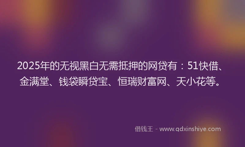2025年的无视黑白无需抵押的网贷有：51快借、金满堂、钱袋瞬贷宝、恒瑞财富网、天小花等。
