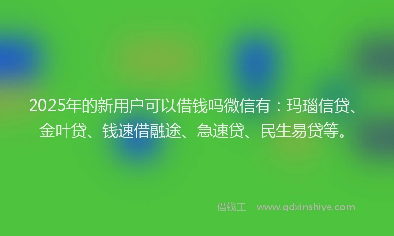 2025年的新用户可以借钱吗微信有：玛瑙信贷、金叶贷、钱速借融途、急速贷、民生易贷等。