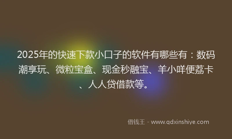 2025年的快速下款小口子的软件有哪些有：数码潮享玩、微粒宝盒、现金秒融宝、羊小咩便荔卡、人人贷借款等。