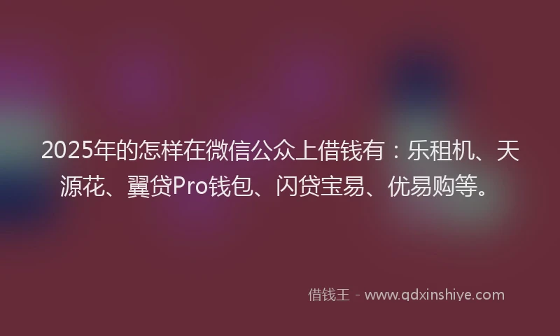 2025年的怎样在微信公众上借钱有：乐租机、天源花、翼贷Pro钱包、闪贷宝易、优易购等。