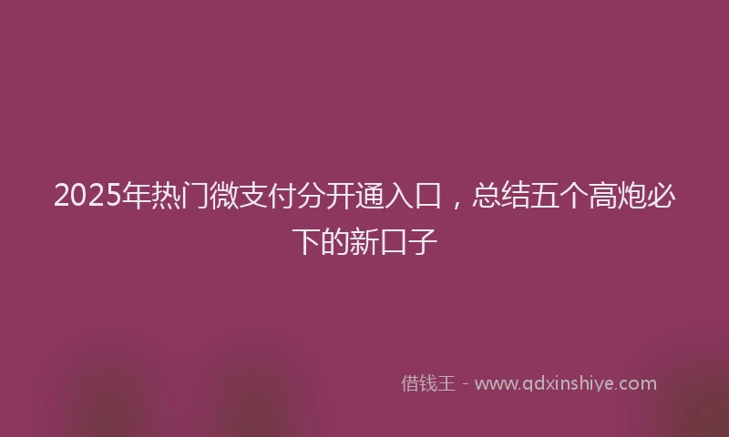 2025年热门微支付分开通入口，总结五个高炮必下的新口子