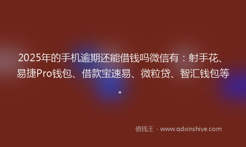 2025年的手机逾期还能借钱吗微信有：射手花、易捷Pro钱包、借款宝速易、微粒贷、智汇钱包等。
