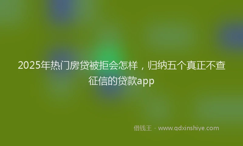 2025年热门房贷被拒会怎样，归纳五个真正不查征信的贷款app