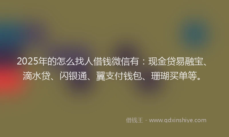2025年的怎么找人借钱微信有：现金贷易融宝、滴水贷、闪银通、翼支付钱包、珊瑚买单等。