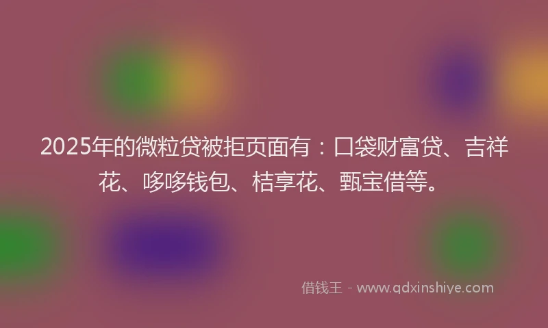 2025年的微粒贷被拒页面有：口袋财富贷、吉祥花、哆哆钱包、桔享花、甄宝借等。