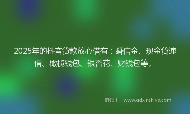 2025年的抖音贷款放心借有：瞬信金、现金贷速借、橄榄钱包、银杏花、财钱包等。