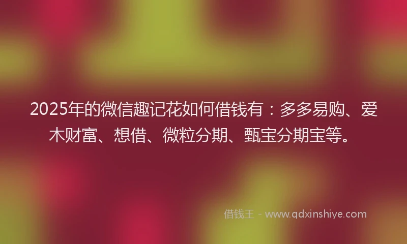 2025年的微信趣记花如何借钱有：多多易购、爱木财富、想借、微粒分期、甄宝分期宝等。