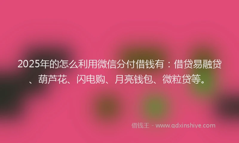 2025年的怎么利用微信分付借钱有：借贷易融贷、葫芦花、闪电购、月亮钱包、微粒贷等。