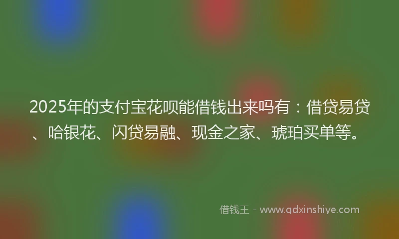 2025年的支付宝花呗能借钱出来吗有：借贷易贷、哈银花、闪贷易融、现金之家、琥珀买单等。