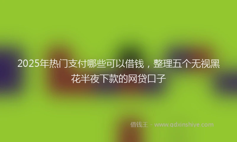 2025年热门支付哪些可以借钱，整理五个无视黑花半夜下款的网贷口子