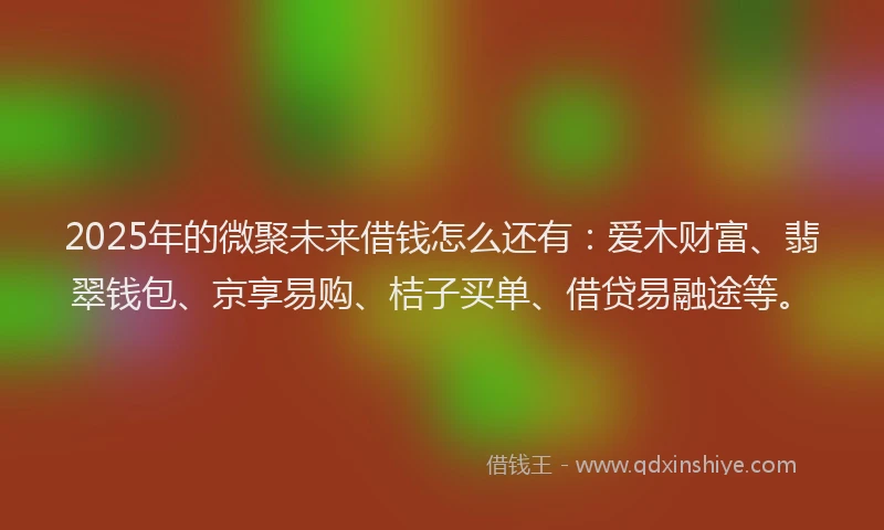 2025年的微聚未来借钱怎么还有：爱木财富、翡翠钱包、京享易购、桔子买单、借贷易融途等。