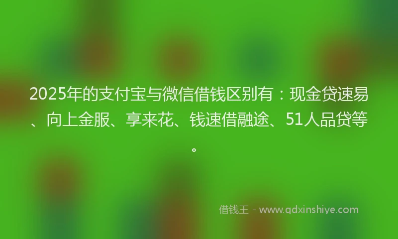 2025年的支付宝与微信借钱区别有：现金贷速易、向上金服、享来花、钱速借融途、51人品贷等。