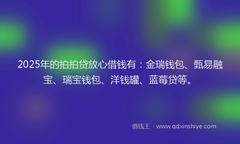 2025年的拍拍贷放心借钱有：金瑞钱包、甄易融宝、瑞宝钱包、洋钱罐、蓝莓贷等。