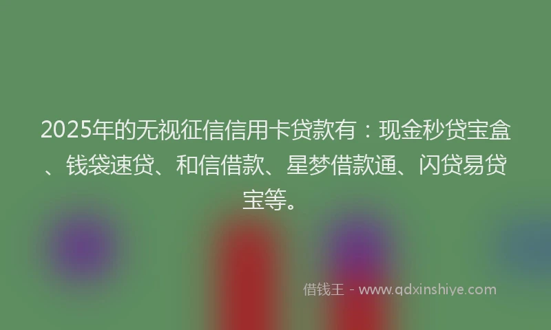 2025年的无视征信信用卡贷款有：现金秒贷宝盒、钱袋速贷、和信借款、星梦借款通、闪贷易贷宝等。