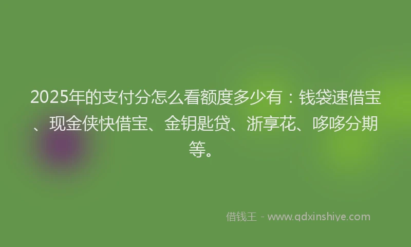 2025年的支付分怎么看额度多少有：钱袋速借宝、现金侠快借宝、金钥匙贷、浙享花、哆哆分期等。