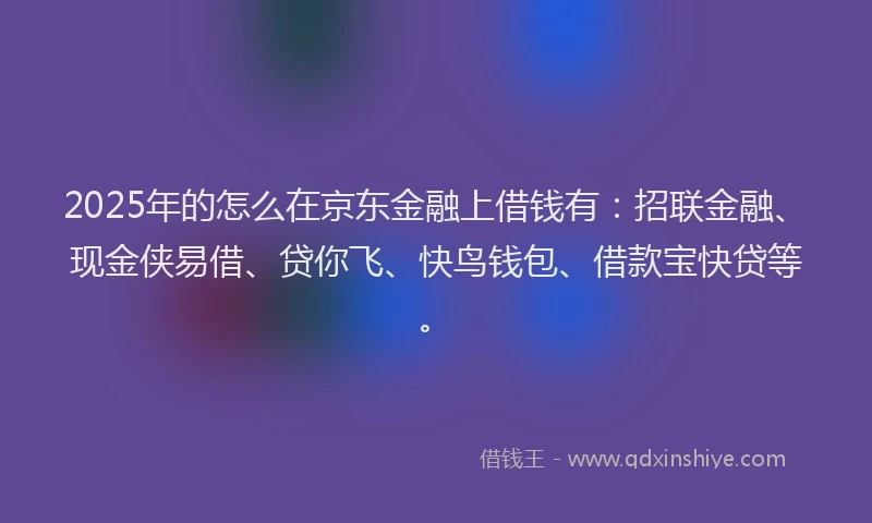 2025年的怎么在京东金融上借钱有：招联金融、现金侠易借、贷你飞、快鸟钱包、借款宝快贷等。
