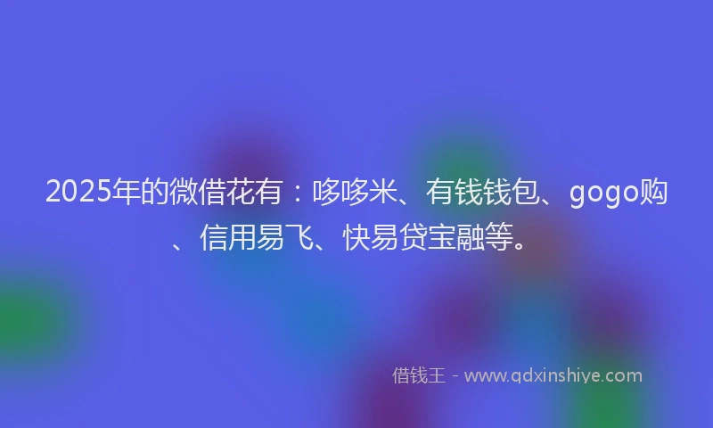 2025年的微借花有：哆哆米、有钱钱包、gogo购、信用易飞、快易贷宝融等。