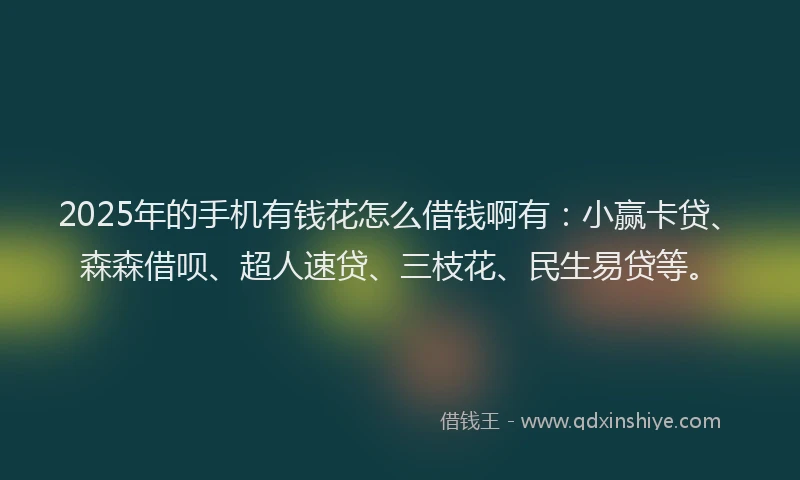 2025年的手机有钱花怎么借钱啊有：小赢卡贷、森森借呗、超人速贷、三枝花、民生易贷等。