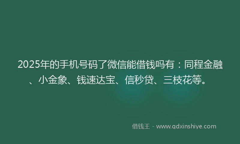 2025年的手机号码了微信能借钱吗有：同程金融、小金象、钱速达宝、信秒贷、三枝花等。