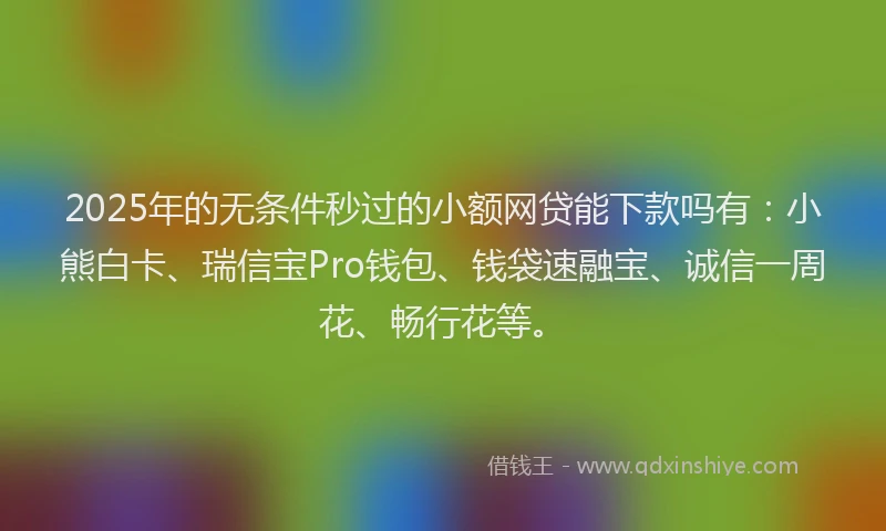 2025年的无条件秒过的小额网贷能下款吗有：小熊白卡、瑞信宝Pro钱包、钱袋速融宝、诚信一周花、畅行花等。