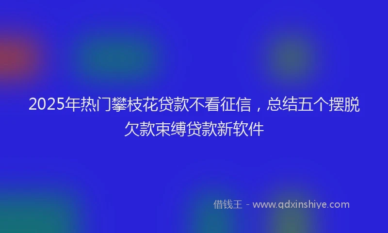 2025年热门攀枝花贷款不看征信，总结五个摆脱欠款束缚贷款新软件