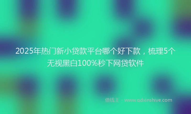2025年热门新小贷款平台哪个好下款，梳理5个无视黑白100%秒下网贷软件
