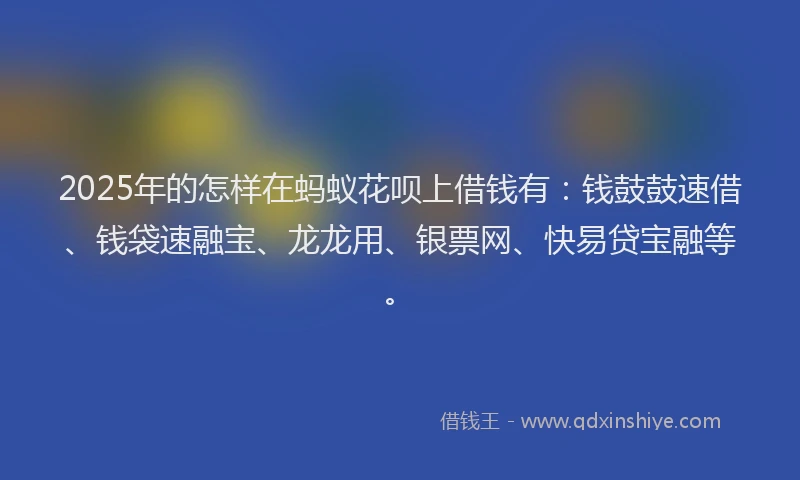 2025年的怎样在蚂蚁花呗上借钱有：钱鼓鼓速借、钱袋速融宝、龙龙用、银票网、快易贷宝融等。