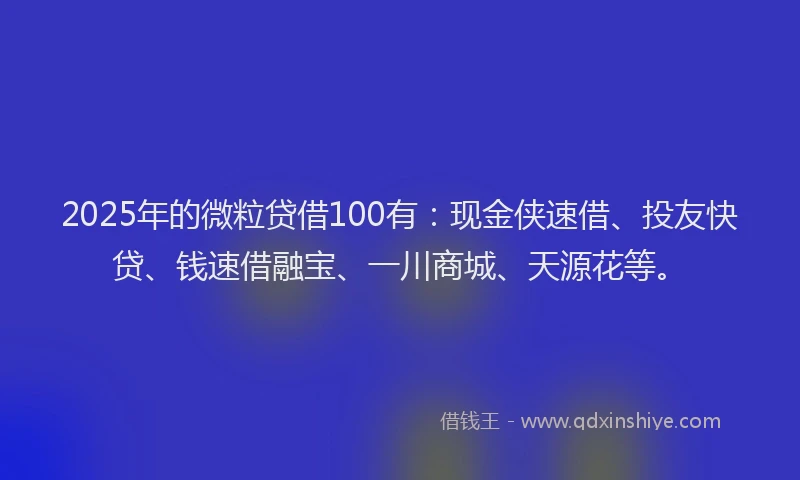 2025年的微粒贷借100有：现金侠速借、投友快贷、钱速借融宝、一川商城、天源花等。