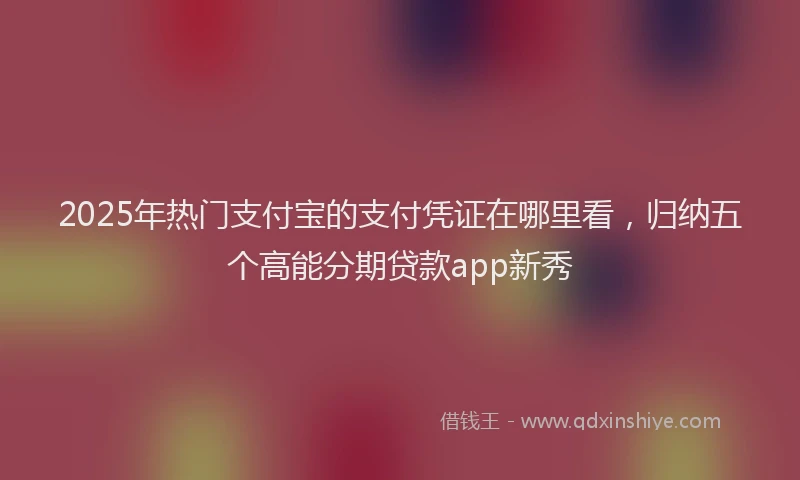 2025年热门支付宝的支付凭证在哪里看，归纳五个高能分期贷款app新秀