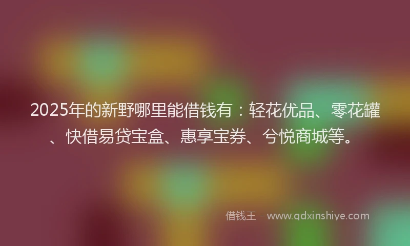 2025年的新野哪里能借钱有：轻花优品、零花罐、快借易贷宝盒、惠享宝券、兮悦商城等。