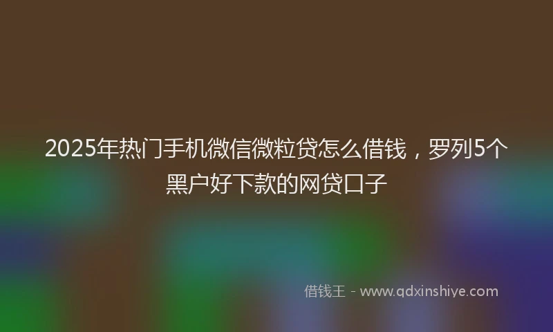 2025年热门手机微信微粒贷怎么借钱，罗列5个黑户好下款的网贷口子