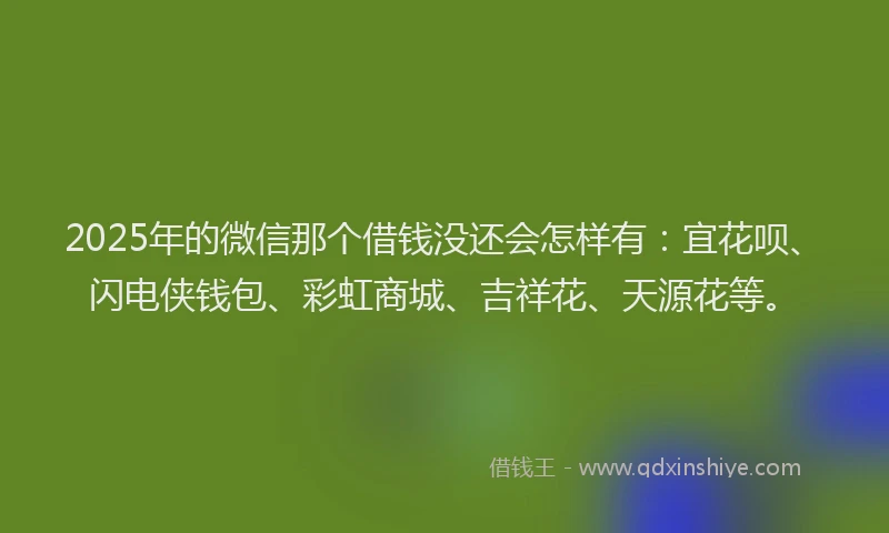 2025年的微信那个借钱没还会怎样有：宜花呗、闪电侠钱包、彩虹商城、吉祥花、天源花等。