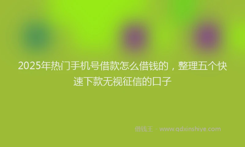 2025年热门手机号借款怎么借钱的，整理五个快速下款无视征信的口子