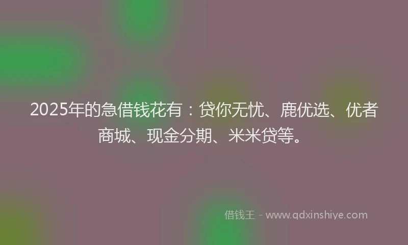 2025年的急借钱花有：贷你无忧、鹿优选、优者商城、现金分期、米米贷等。