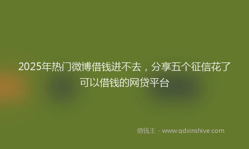 2025年热门微博借钱进不去，分享五个征信花了可以借钱的网贷平台