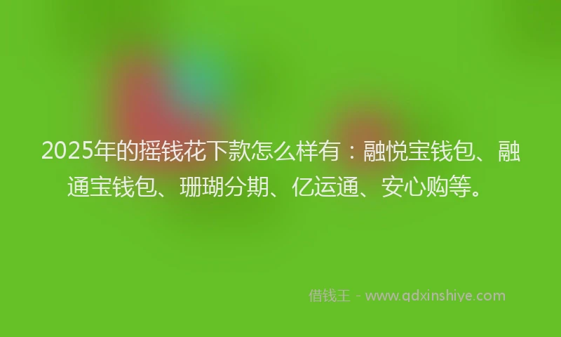 2025年的摇钱花下款怎么样有：融悦宝钱包、融通宝钱包、珊瑚分期、亿运通、安心购等。