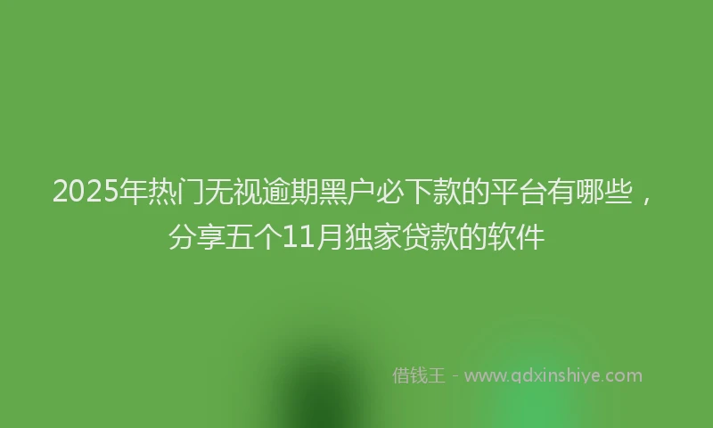 2025年热门无视逾期黑户必下款的平台有哪些，分享五个11月独家贷款的软件