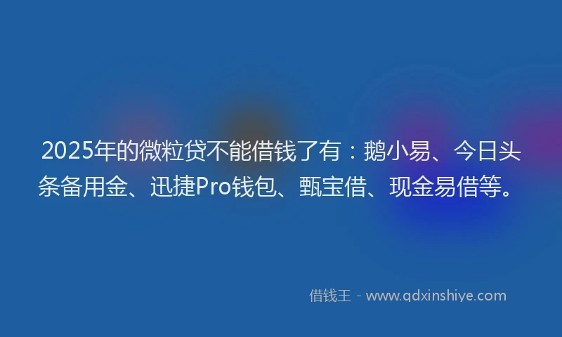 2025年的微粒贷不能借钱了有：鹅小易、今日头条备用金、迅捷Pro钱包、甄宝借、现金易借等。