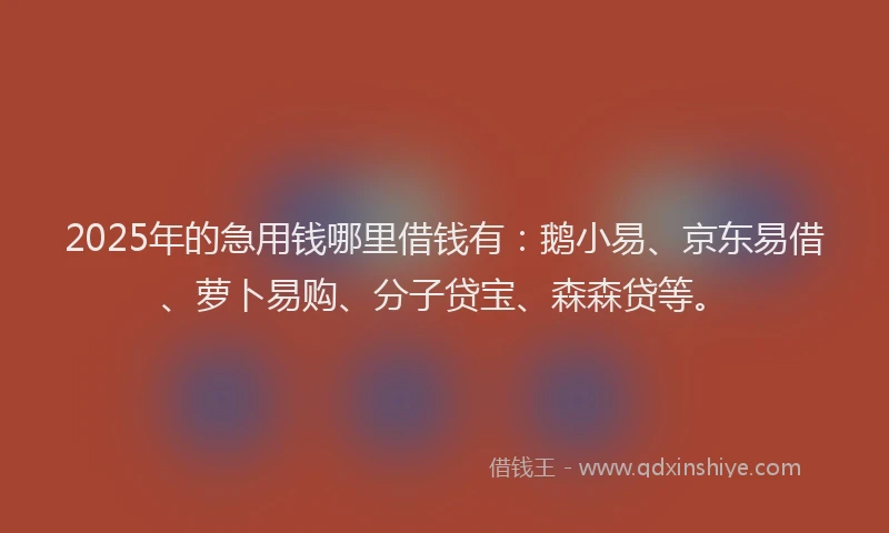 2025年的急用钱哪里借钱有：鹅小易、京东易借、萝卜易购、分子贷宝、森森贷等。
