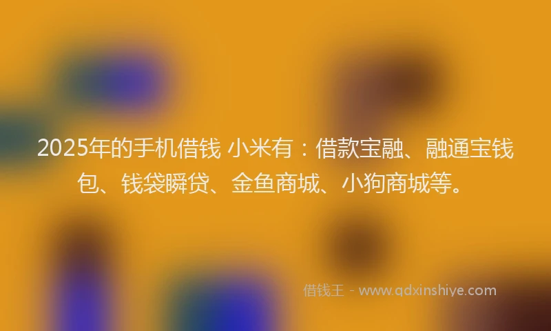 2025年的手机借钱 小米有：借款宝融、融通宝钱包、钱袋瞬贷、金鱼商城、小狗商城等。
