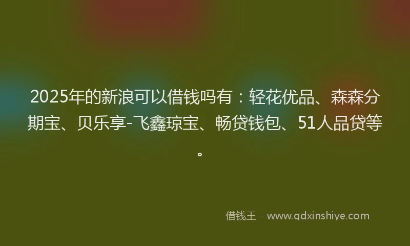 2025年的新浪可以借钱吗有：轻花优品、森森分期宝、贝乐享-飞鑫琼宝、畅贷钱包、51人品贷等。