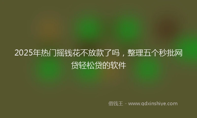 2025年热门摇钱花不放款了吗，整理五个秒批网贷轻松贷的软件