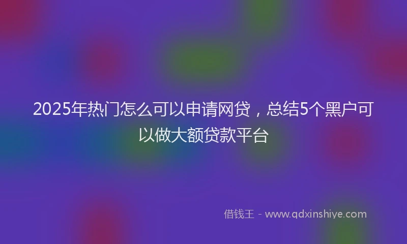 2025年热门怎么可以申请网贷，总结5个黑户可以做大额贷款平台