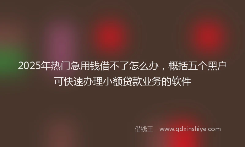 2025年热门急用钱借不了怎么办，概括五个黑户可快速办理小额贷款业务的软件