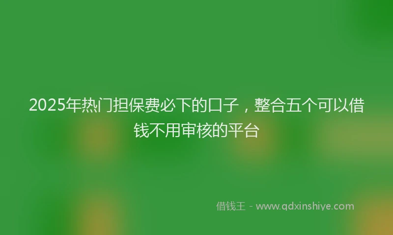 2025年热门担保费必下的口子，整合五个可以借钱不用审核的平台