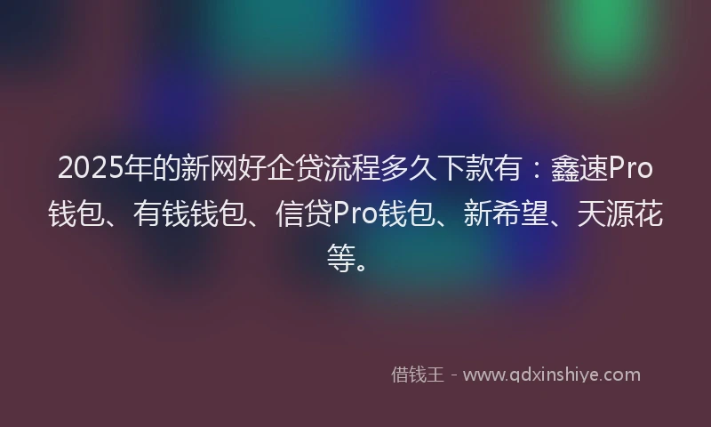2025年的新网好企贷流程多久下款有：鑫速Pro钱包、有钱钱包、信贷Pro钱包、新希望、天源花等。