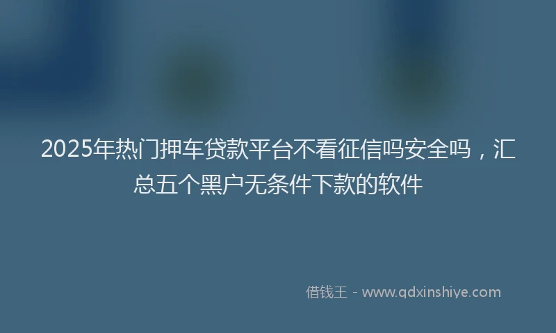 2025年热门押车贷款平台不看征信吗安全吗，汇总五个黑户无条件下款的软件