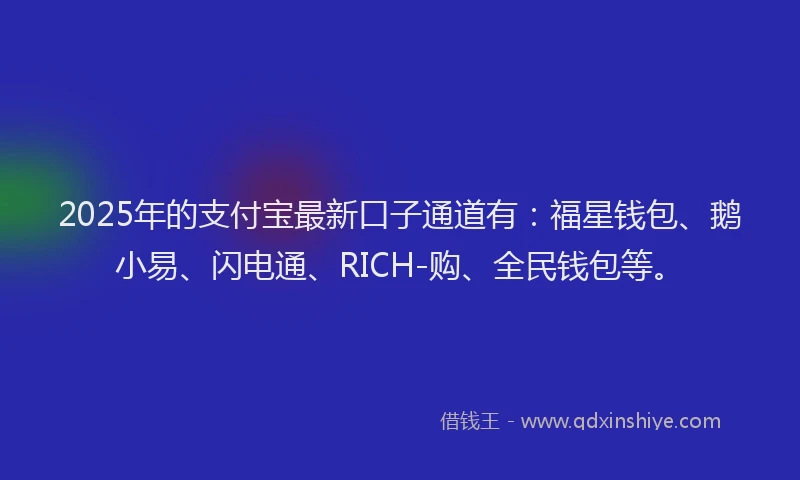 2025年的支付宝最新口子通道有：福星钱包、鹅小易、闪电通、RICH-购、全民钱包等。