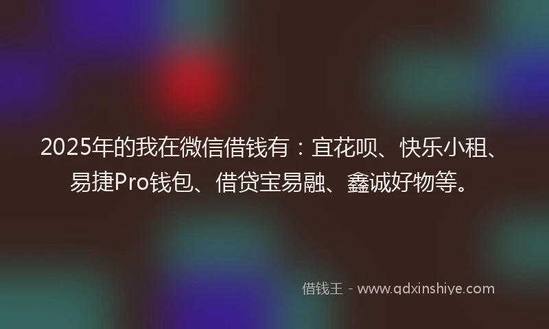 2025年的我在微信借钱有：宜花呗、快乐小租、易捷Pro钱包、借贷宝易融、鑫诚好物等。