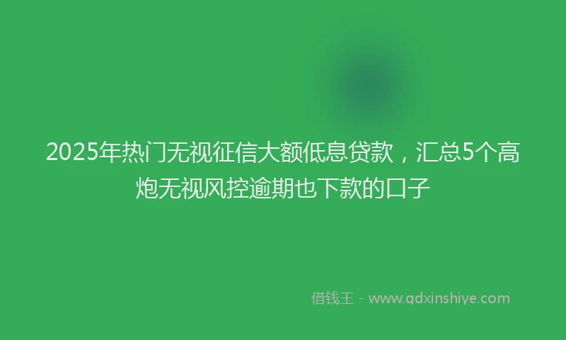 2025年热门无视征信大额低息贷款，汇总5个高炮无视风控逾期也下款的口子